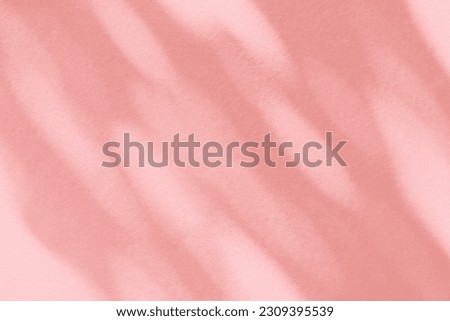 Light and shadow pink pastel abstract background. Natural leaves shadows and sunshine diagonal refraction on white concrete wall texture. Shadow overlay effect foliage mockup, banner graphic layout
