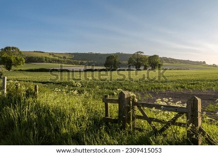 Looking out over farmland in Sussex on a sunny spring evening Royalty-Free Stock Photo #2309415053