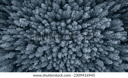 Aerial view of a winter snow-covered pine forest. Winter forest texture. Aerial view. Aerial drone view of a winter landscape. Snow covered forest. Aerial photography winter texture background