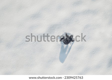 Man playing snowballs on the snow in a park. Winter. Drone, top, aerial view.