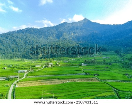 Aerial view of terraced rice field with Mount Telomoyo as background. Drone photography.