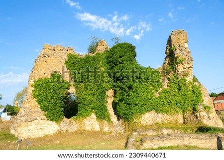 Photo of the medieval fortress in Bach, Serbia. The first traces of Bach come from the period of Emperor Justinian I when the emperor mentions Bach in his letter from 535
