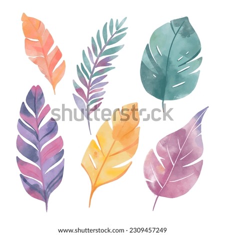 Tropical leaves set isolated on white background. Leaves clip art. Summer party decor. Watercolour exotic botany. Botanical decor for wedding