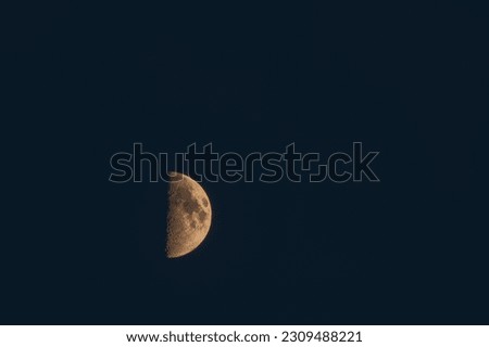 Half moon in spring evening in south Bohemia with blue dark sky