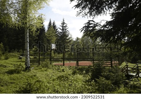 BASKETBALL PLAYGROUND IN FOREST GREEN TREES