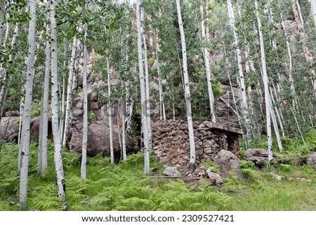 Old spring house (well house) made by early settlers in the Flagstaff, Arizona area to protect springs. Royalty-Free Stock Photo #2309527421