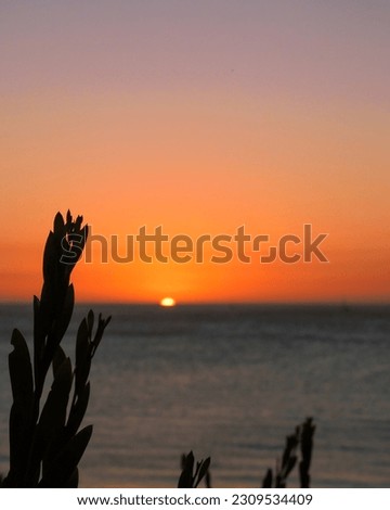 Sunset in a beach in Uruguay