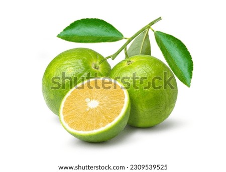 Aurantium citrus (Bitter orange or Seville orange) on branch with green leaves and cut in half sliced isolated on white background. Royalty-Free Stock Photo #2309539525