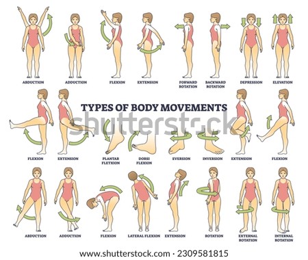 Body movement types with medical physical motion explanation outline diagram. Labeled educational anatomy scheme with healthy leg, arm or shoulders rotation, extension or inversion vector illustration Royalty-Free Stock Photo #2309581815