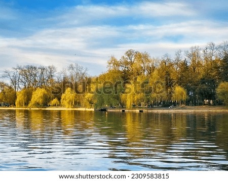 Landscape view of Herastrau Park with large trees reflected in the water on the edge of the lake at golden hour, in Bucharest, Romania.