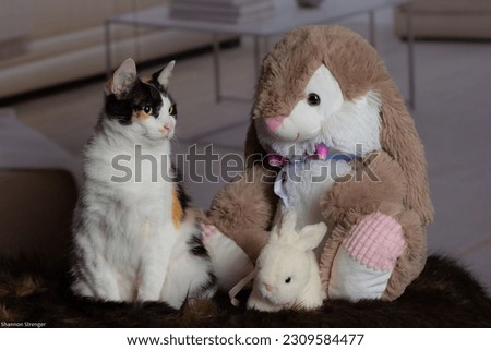 a real calico cat sits in on a child's Easter bunny photo shoot with stuffed animals