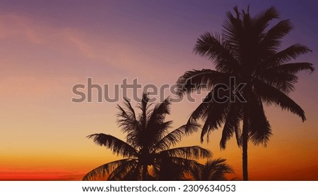 Silhouette image of palm trees leaves on dramatic colorful twilight summer sky background.Image use for travel business and tourist industry background.

