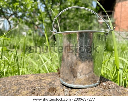Metal bucket. Bucket for the garden. Bucket with handle