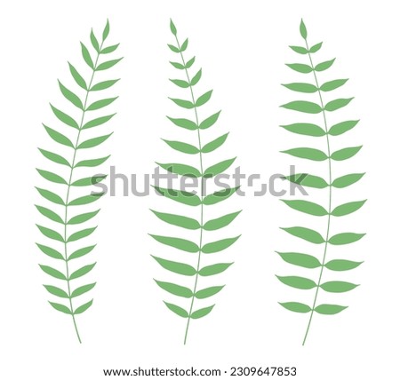Set of hand-drawn fern leaves