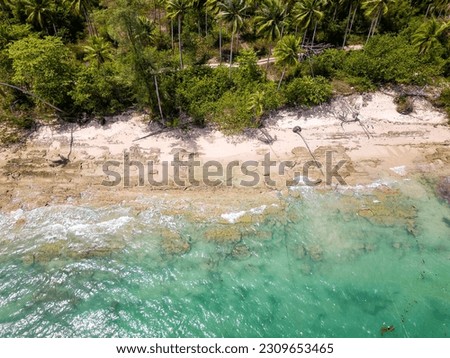 Top down birds eye view of a small sandy tropical beach surrounded by palm trees