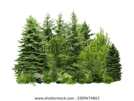 Different green trees and plants on white background Royalty-Free Stock Photo #2309674863