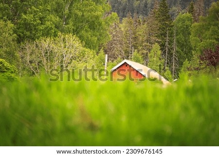 wooden house in the forest - Bogstad