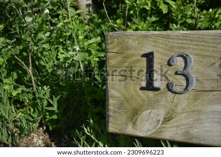 The Number Thirteen on a Wooden Post in Nature. High quality photo