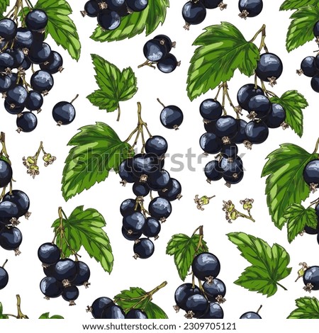 Seamless realistic pattern with black currants and green leaves. Hand drawn colored sketch. Blackberry agriculture vegan plant. Good for printing on packaging, textile. Vector illustration on white Royalty-Free Stock Photo #2309705121