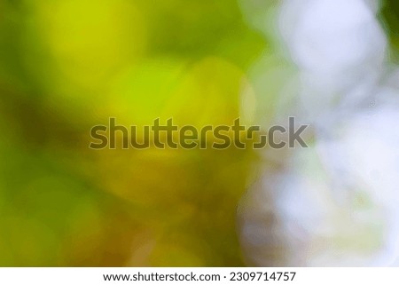 Beautiful blurred background image of spring nature,blur natural and light background,defocused blur background,holiday wallpaper,Green bokeh abstract background blur