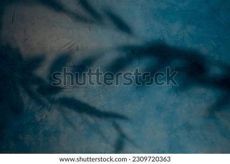 Leaves shadow. Natural background. Twig shape. Foliage branch silhouette on blue uneven texture wall abstract overlay with free space.