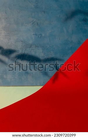 Showcase background. Product display. Leaf foliage shadow on red blue color block paper wall abstract composition with copy space.