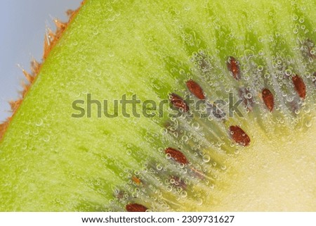 Slice of ripe kiwi fruit in water. Close-up of kiwi fruit in liquid with bubbles. Slice of ripe kiwi in sparkling water. Macro image of fruit in carbonated water