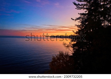 Sunset gold over a great lake with silhouette of a pine tree and a distant peninsula