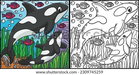Mother Killer Whale Baby Killer Whale Illustration