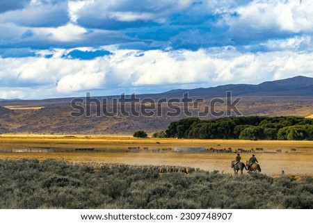 Gauchos and herd of sheep in a rural scenic panorama landscape at dusk at Torres del Paine National Park, Patagonia, Chile