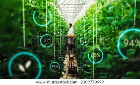 Professional Male Bioengineer Examining Crops on Modern Vertical Farm. Man With Tablet Computer Grows Organic Food or Plants In High-Tech Greenhouse. VFX Infographics Edit Showing Data. Royalty-Free Stock Photo #2309770999