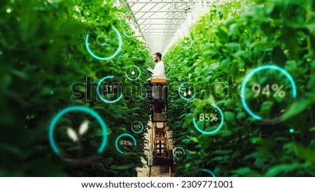 Male Bioengineer Inspecting Growth Of Crops On Modern Vertical Farm. Man Cultivates Organic Food or Plants In Technologically Advanced Greenhouse. VFX Infographics Edit Showing Statistics, Data.