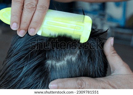 Closeup hand holding hair lice comb, searching for small lice on school kid head. Anti Head lice treatment concept.