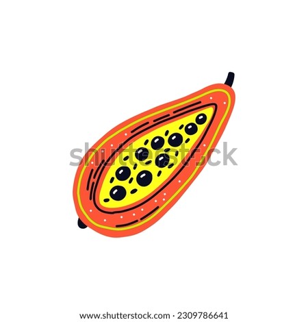 Acid fruit papaya slice. Hand drawn vector
