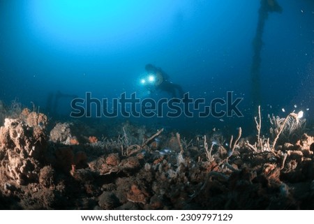 Silhouette photo of a diver on the ocean floor at night with little light, only using a flashlight to see the object