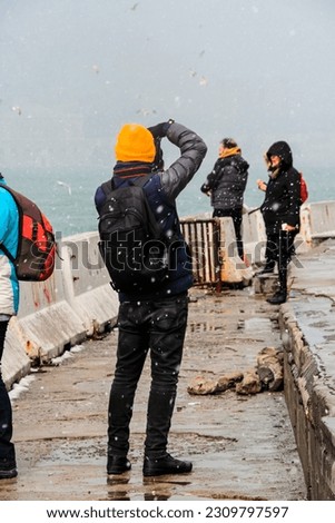 people taking pictures on a cold day. istanbul winter seagulls