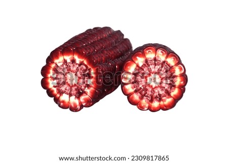 Fresh siam ruby queen purple corn isolated on a white background. Siam ruby queen sweet corn with anthocyanin, high helps fight free radicals.