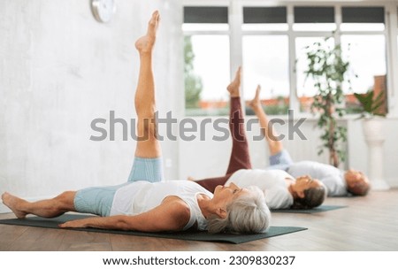 Group of elderly people in sportswear practicing pilates on mat in fitness studio