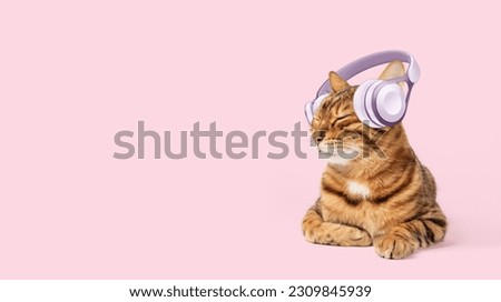 Cute ginger cat in headphones on a pink background, copy space banner or listen to music with closed eyes