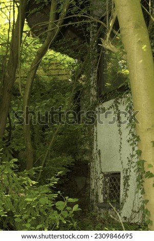 Old villa with reedmace roof top is lost place Royalty-Free Stock Photo #2309846695