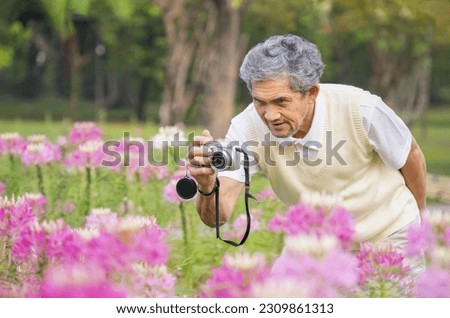 asian senior man enjoy taking photo of flowers in summer park,active grandpa holding camera and exploring in nature,concept old retirement people lifestyle,activity,travel,relaxing,wellbeing 