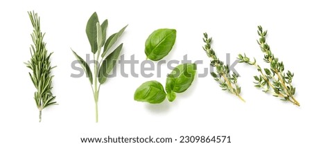 fresh mediterranean herbs isolated over a white background rosemary, sage, basil and thyme, farm fresh food and healthy diet herbal design elements	 Royalty-Free Stock Photo #2309864571