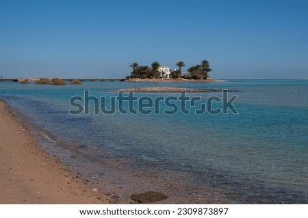 A house and palms at beautiful island in El Gouna, Hurghada, Red Sea, Egypt, Africa