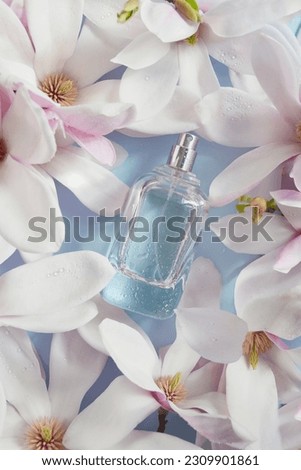 Open bottle of perfume with magnolia flowers, drops of water composition on the blue background. Fresh magnolia aroma. Idea of sweet pure smell of flowers for young girls. 