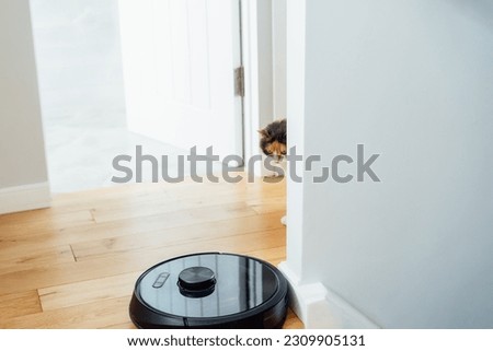 Focus on a smart vacuum cleaner with hiding around the corner multicolor pet cat. Tense, confused pet cat watching on working robotic vacuum cleaner on the wooden floor. Selective focus.