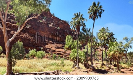 Red outback centre of Australia in Finke Gorge National Park Royalty-Free Stock Photo #2309909765