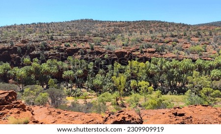 Red outback centre of Australia in Finke Gorge National Park Royalty-Free Stock Photo #2309909919