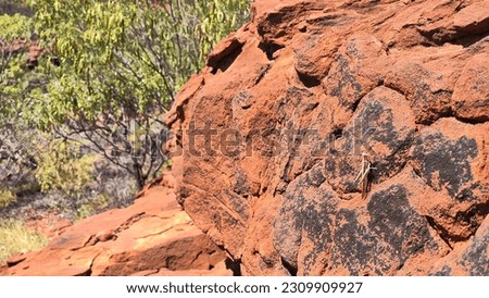 Red outback centre of Australia in Finke Gorge National Park Royalty-Free Stock Photo #2309909927