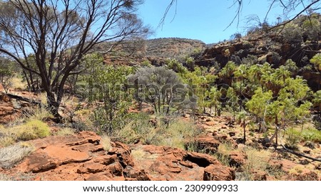Red outback centre of Australia in Finke Gorge National Park Royalty-Free Stock Photo #2309909933