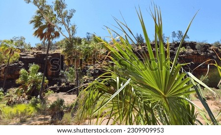 Red outback centre of Australia in Finke Gorge National Park Royalty-Free Stock Photo #2309909953